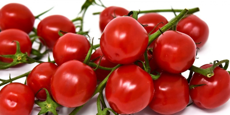 Дорогу турецким помидорам!Минсельхоз увеличил квоту Турции на поставки помидоров.